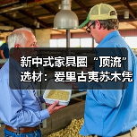 新中式家具圈“顶流”选材：爱里古夷苏木凭