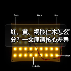 红、黄、褐榄仁木怎么分？一文厘清核心差异与应用边界（图3）