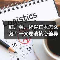 红、黄、褐榄仁木怎么分？一文厘清核心差异