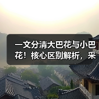 一文分清大巴花与小巴花!核心区别解析,采购避坑必看(图2) 一文分清大巴花与小巴花!核心区别解析,采购避坑必看(图2)