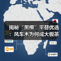 揭秘“黑檀”平替优选：风车木为何成大板茶桌高端材质新宠？（图4）