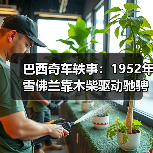 巴西奇车轶事：1952年雪佛兰靠木柴驱动驰骋半世纪（图2）
