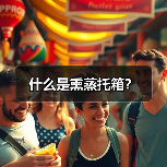 什么是熏蒸托箱？（图2）