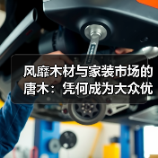 风靡木材与家装市场的唐木：凭何成为大众优选材种？（图2）