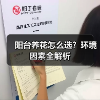 阳台养花怎么选?环境因素全解析(图3) 阳台养花怎么选?环境因素全解析(图3)