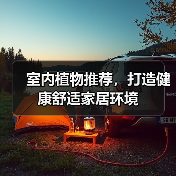 室内植物推荐,打造健康舒适家居环境(图4) 室内植物推荐,打造健康舒适家居环境(图4)