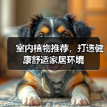 室内植物推荐,打造健康舒适家居环境(图3) 室内植物推荐,打造健康舒适家居环境(图3)