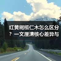 红黄褐榄仁木怎么区分？一文厘清核心差异与应用边界（图3）