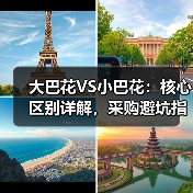 大巴花VS小巴花:核心区别详解,采购避坑指南(图2) 大巴花VS小巴花:核心区别详解,采购避坑指南(图2)
