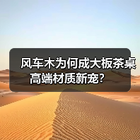 风车木为何成大板茶桌高端材质新宠?(图3) 风车木为何成大板茶桌高端材质新宠?(图3)
