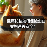 熏蒸托箱如何保障出口货物通关安全?(图2) 熏蒸托箱如何保障出口货物通关安全?(图2)