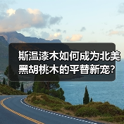 斯温漆木如何成为北美黑胡桃木的平替新宠?(图4) 斯温漆木如何成为北美黑胡桃木的平替新宠?(图4)