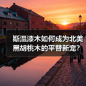 斯温漆木如何成为北美黑胡桃木的平替新宠?(图2) 斯温漆木如何成为北美黑胡桃木的平替新宠?(图2)