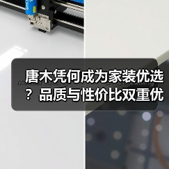 唐木凭何成为家装优选？品质与性价比双重优