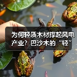 为何轻质木材撑起风电产业？巴沙木的“轻”与“强（图2）