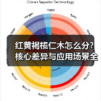 红黄褐榄仁木怎么分?核心差异与应用场景全解析(图4) 红黄褐榄仁木怎么分?核心差异与应用场景全解析(图4)