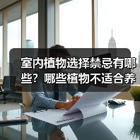室内植物选择禁忌有哪些?哪些植物不适合养在家中?(图2) 室内植物选择禁忌有哪些?哪些植物不适合养在家中?(图2)