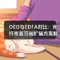 OEO与EDFA对比：光纤覆盖范围扩展方案解析（图4）