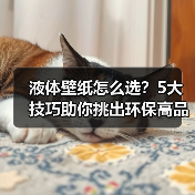 液体壁纸怎么选？5大技巧助你挑出环保高品