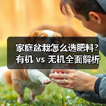 家庭盆栽怎么选肥料？有机 vs 无机全面解析（图3）