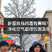 卧室放马蹄莲有害吗?净化空气最佳位置及摆放技巧解析(图1) 卧室放马蹄莲有害吗?净化空气最佳位置及摆放技巧解析(图1)