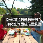 卧室放马蹄莲有害吗?净化空气最佳位置及摆放技巧解析(图2) 卧室放马蹄莲有害吗?净化空气最佳位置及摆放技巧解析(图2)