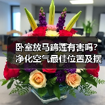 卧室放马蹄莲有害吗?净化空气最佳位置及摆放技巧解析(图3) 卧室放马蹄莲有害吗?净化空气最佳位置及摆放技巧解析(图3)