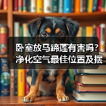 卧室放马蹄莲有害吗?净化空气最佳位置及摆放技巧解析(图4) 卧室放马蹄莲有害吗?净化空气最佳位置及摆放技巧解析(图4)