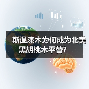 斯温漆木为何成为北美黑胡桃木平替？（图4）