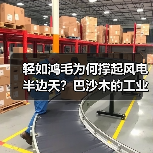 轻如鸿毛为何撑起风电半边天?巴沙木的工业传奇(图2) 轻如鸿毛为何撑起风电半边天?巴沙木的工业传奇(图2)