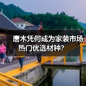 唐木凭何成为家装市场热门优选材种?(图1) 唐木凭何成为家装市场热门优选材种?(图1)
