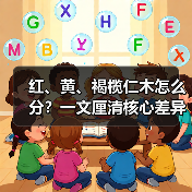红、黄、褐榄仁木怎么分?一文厘清核心差异与应用边界(图1) 红、黄、褐榄仁木怎么分?一文厘清核心差异与应用边界(图1)