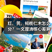 红、黄、褐榄仁木怎么分?一文厘清核心差异与应用边界(图2) 红、黄、褐榄仁木怎么分?一文厘清核心差异与应用边界(图2)