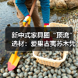 新中式家具圈“顶流”选材:爱里古夷苏木凭什么圈粉无数?(图1) 新中式家具圈“顶流”选材:爱里古夷苏木凭什么圈粉无数?(图1)
