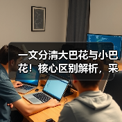 一文分清大巴花与小巴花!核心区别解析,采购避坑必看(图3) 一文分清大巴花与小巴花!核心区别解析,采购避坑必看(图3)