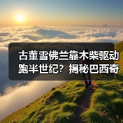 古董雪佛兰靠木柴驱动跑半世纪?揭秘巴西奇车故事(图1) 古董雪佛兰靠木柴驱动跑半世纪?揭秘巴西奇车故事(图1)