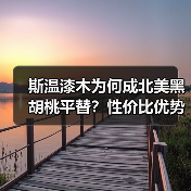 斯温漆木为何成北美黑胡桃平替？性价比优势显而易见（图2）