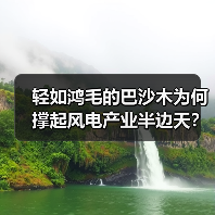 轻如鸿毛的巴沙木为何撑起风电产业半边天?(图1) 轻如鸿毛的巴沙木为何撑起风电产业半边天?(图1)