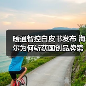 暖通智控白皮书发布 海尔为何斩获国创品牌第一？（图3）