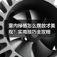 室内绿植怎么摆放才美观?实用技巧全攻略(图3) 室内绿植怎么摆放才美观?实用技巧全攻略(图3)