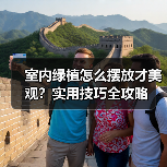 室内绿植怎么摆放才美观?实用技巧全攻略(图4) 室内绿植怎么摆放才美观?实用技巧全攻略(图4)