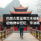 巴西古董雪佛兰木柴驱动驰骋半世纪,零油耗传奇背后的秘密(图4) 巴西古董雪佛兰木柴驱动驰骋半世纪,零油耗传奇背后的秘密(图4)
