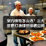 室内植物怎么选？三大要素打造理想绿植空间