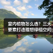 室内植物怎么选？三大要素打造理想绿植空间（图4）