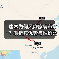 唐木为何风靡家装市场？解析其优势与性价比（图2）