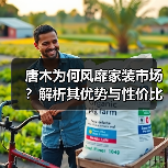 唐木为何风靡家装市场？解析其优势与性价比