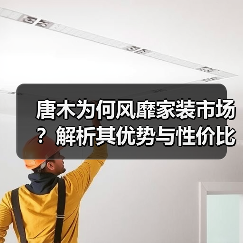 唐木为何风靡家装市场？解析其优势与性价比（图3）