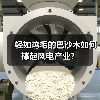 轻如鸿毛的巴沙木如何撑起风电产业？（图2）