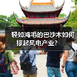 轻如鸿毛的巴沙木如何撑起风电产业？（图3）