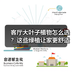 客厅大叶子植物怎么选?这些绿植让家更舒适(图2) 客厅大叶子植物怎么选?这些绿植让家更舒适(图2)